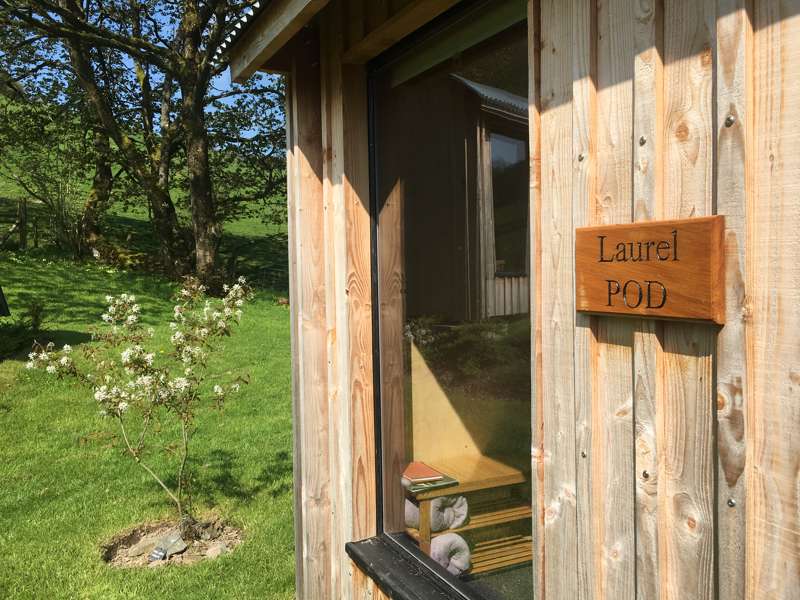 Laurel POD