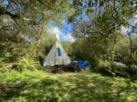 Doos - Medium Tipi - Private Site