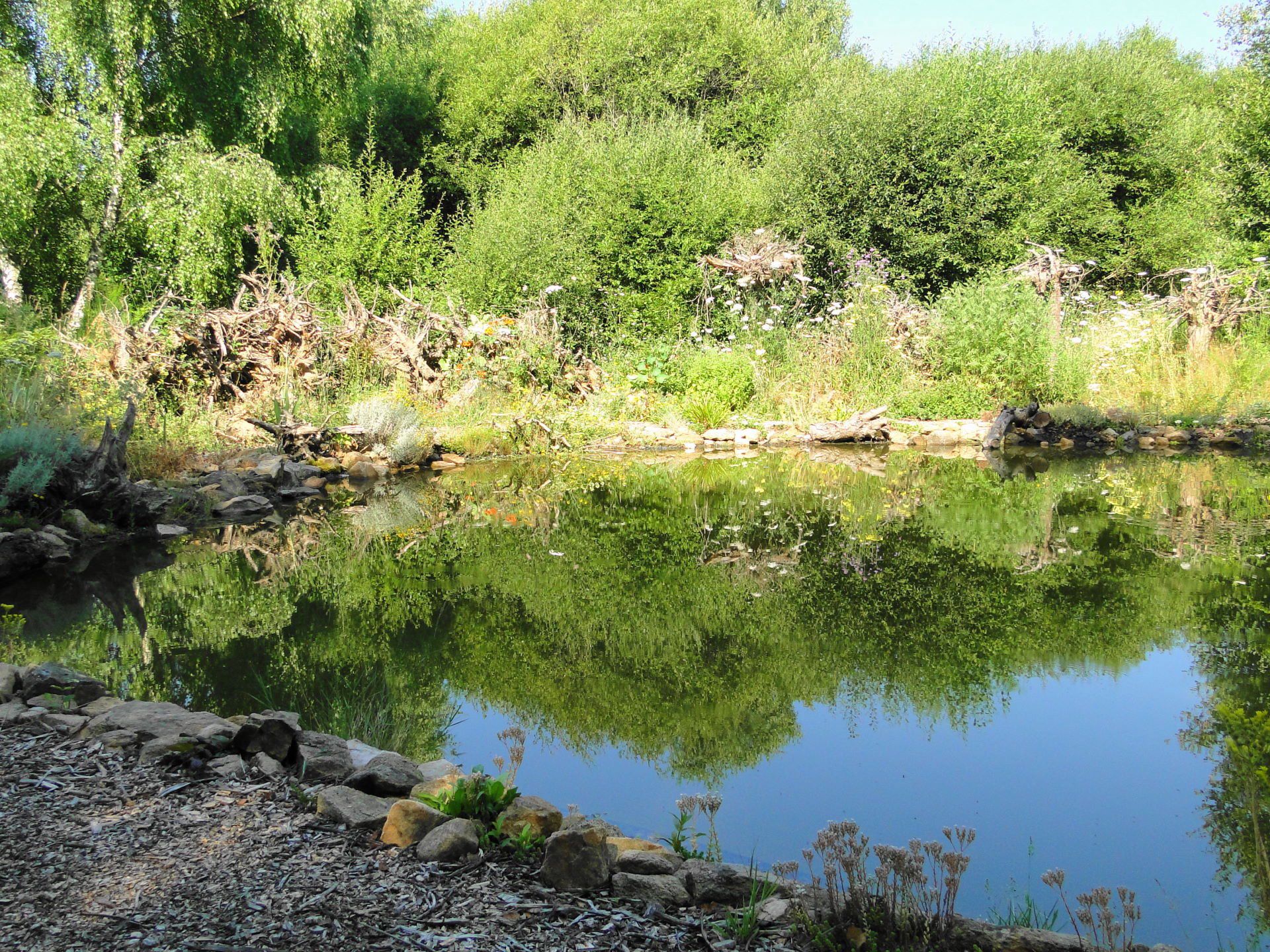 Campsites in Haute-Vienne