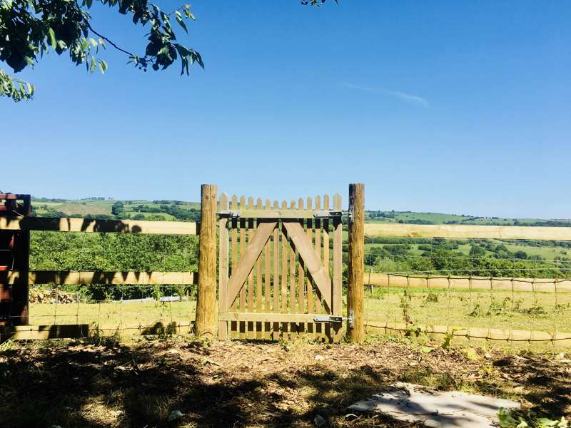 Wild Rose Vintage Caravan