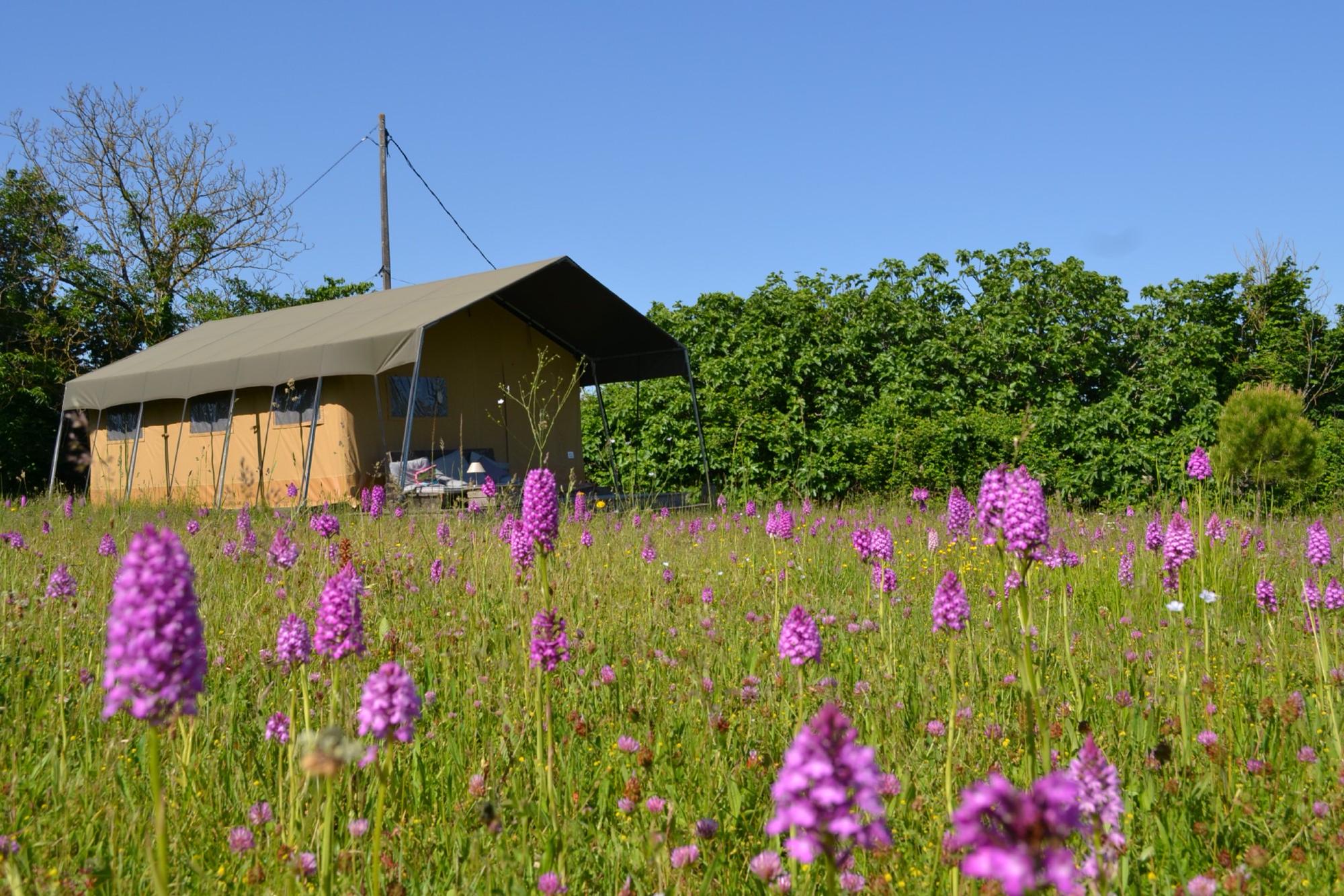 Glamping in Lot-et-Garonne | Best Glamping Sites in Lot-et-Garonne