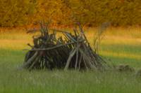 Meadow pitch