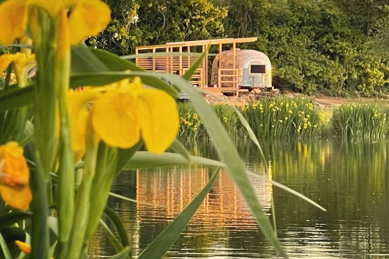 Silverbird Airstream Caravan