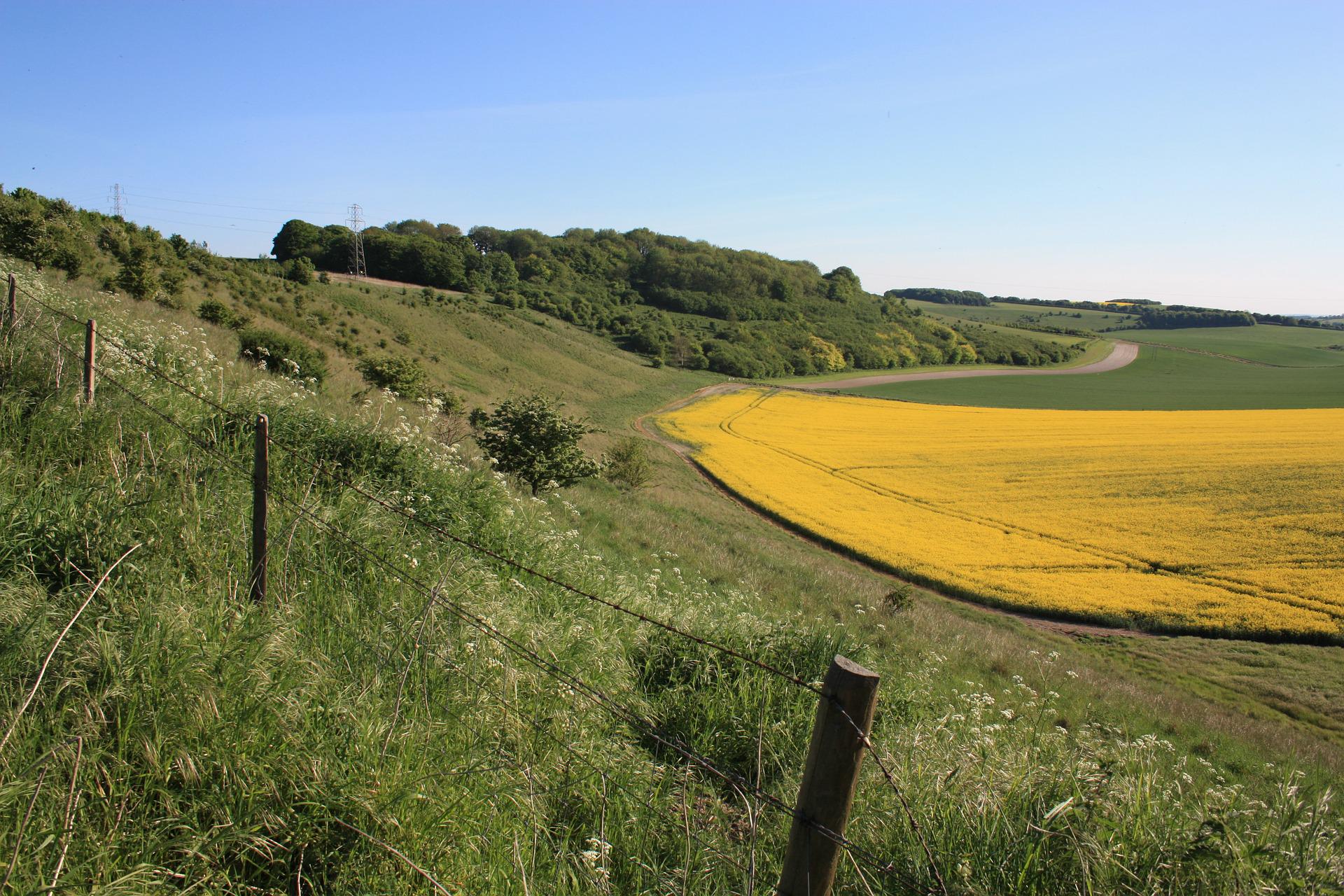 Campsites in Wiltshire – Top-rated campsites in Wiltshire | Cool Camping