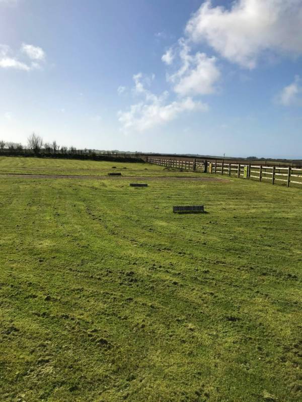 Fully Serviced Pitch with Grass Mesh