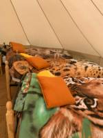 On Safari-Pitch 1