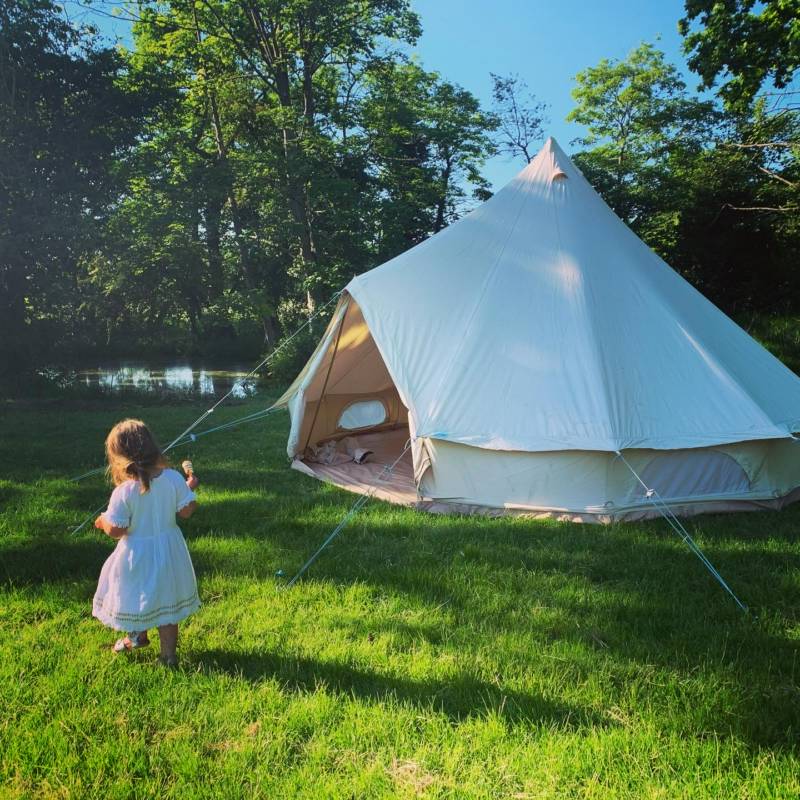 Martlet Tent set in a beautiful Alder Carr