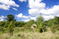 Willow Yurt