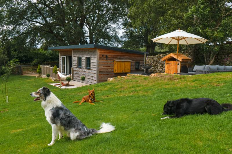 The Twitcher - Luxury Dog-Friendly Cabin