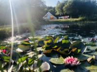 Bell tent tucked away in rural Cornwall