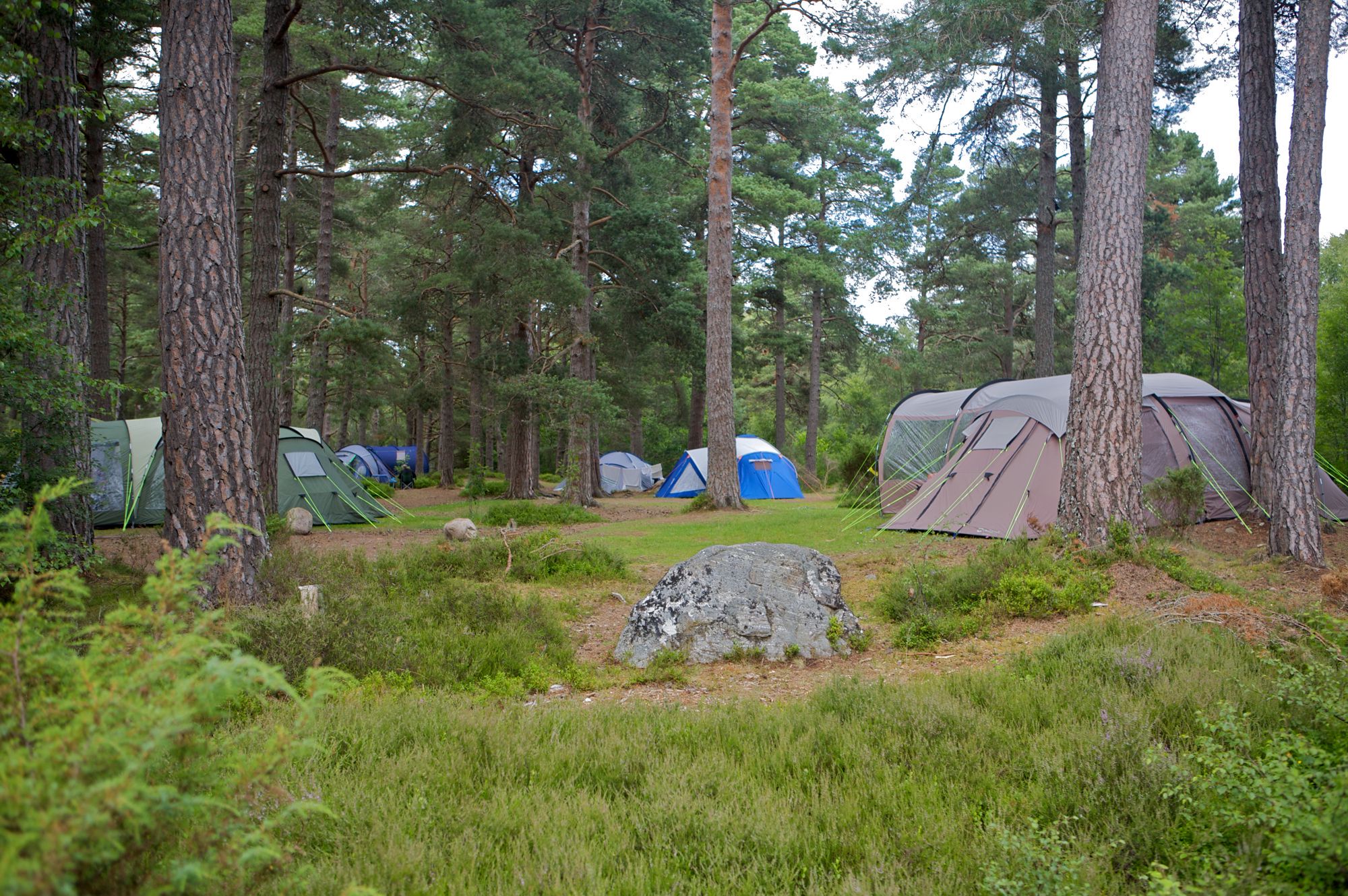 Campsites in the Cairngorms – Best campsites in the national park – Cool Camping