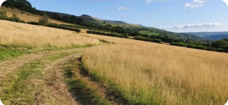 Van Pitch - Lower Meadow