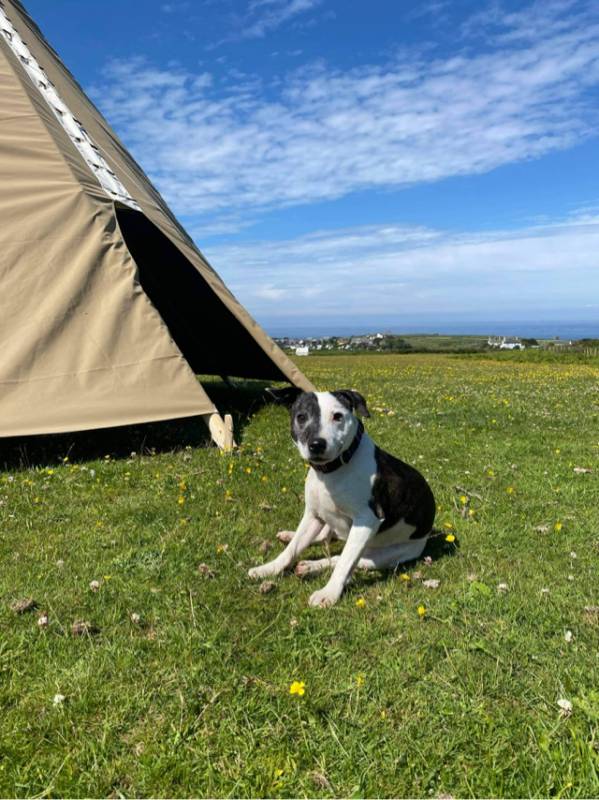 Sea Tipi - Front Field Camping