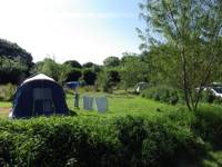 Grass Pitch