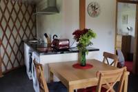Willow yurt
