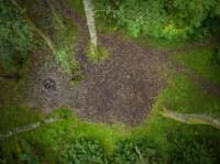 Woodland Tent Pitch 5 (3.5m x 3.5m)