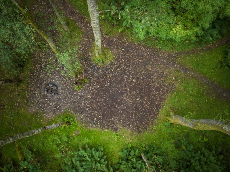 Woodland Tent Pitch 5 (3.5m x 3.5m)