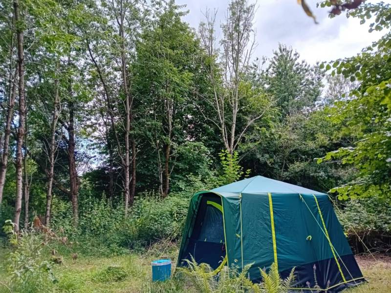 Non-Electric Forest Tent Pitch