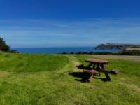 Campervan Pitch 1
