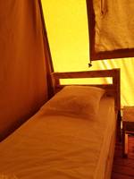 Safari Tent