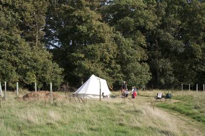 Meadow Camping Pitch (small)