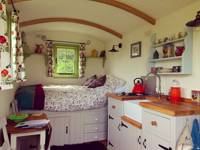 Elderflower Hut