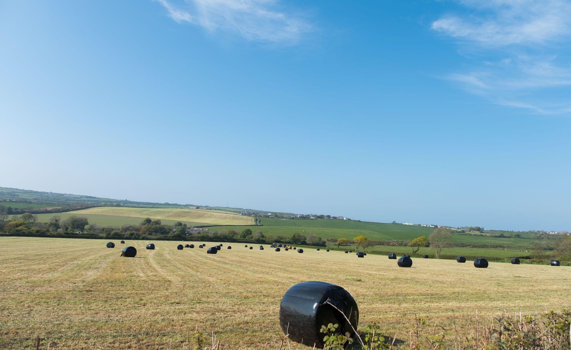 Lampeter Camping | Campsites in Lampeter, West Wales