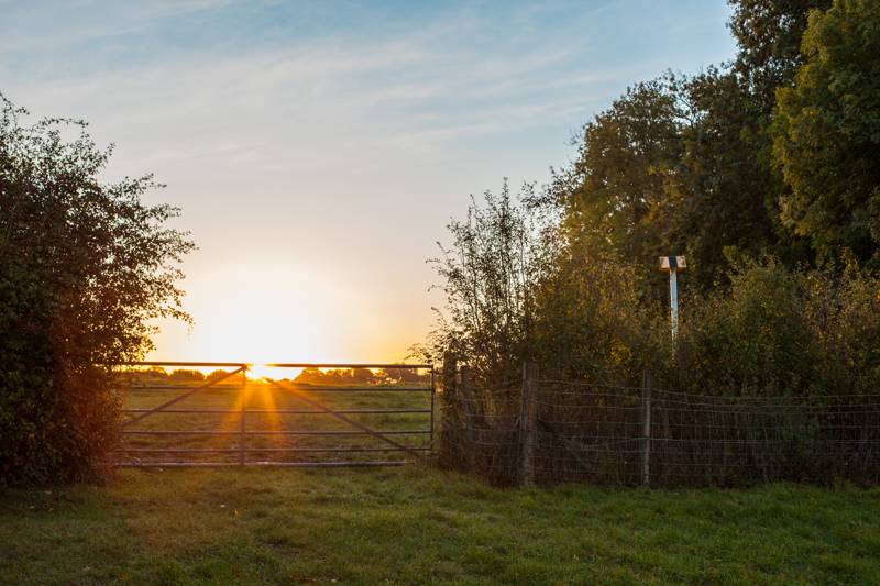 Oak Yurt - 18ft with outdoor kitchen