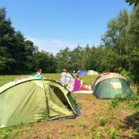 Woodland Meadow Pitch