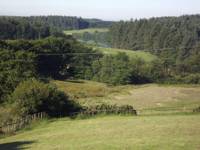 Grass Pitch