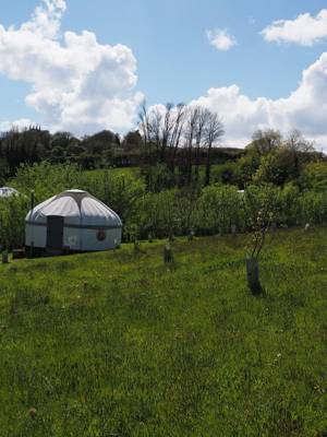 Gilliflower Yurt