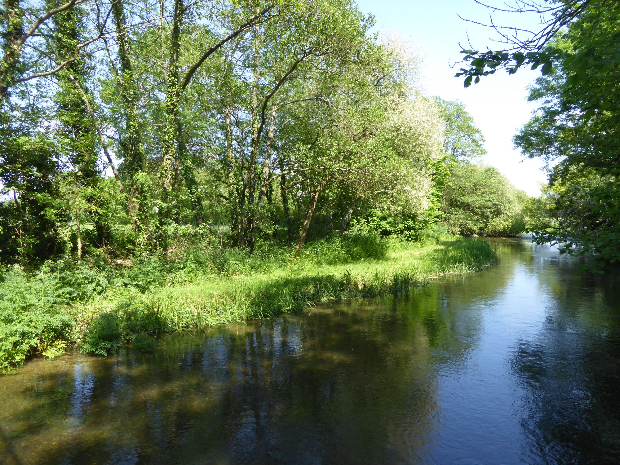 Campsites in Bere Regis holidays at Cool Camping