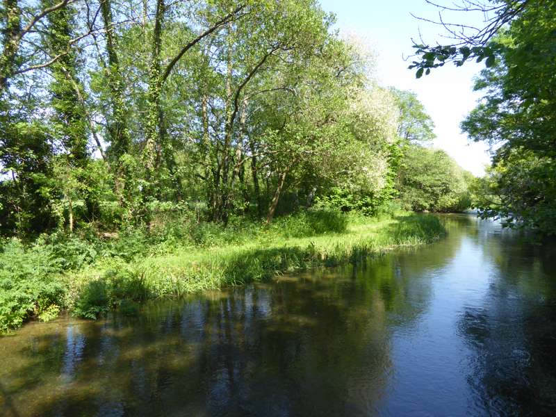 Farrs Meadow, Wimborne Minster