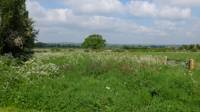Shepherds hut