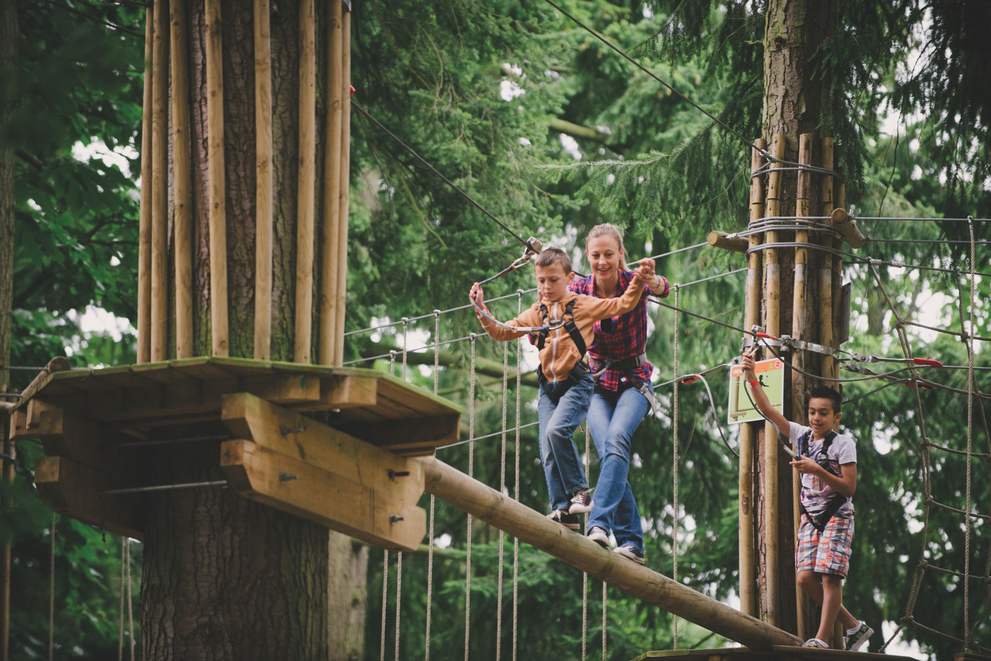 Win A Family Pass To Go Ape A 2 Night Yha Stay