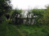 Fern Pippin Yurt