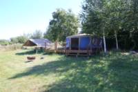 Orchard