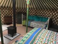 Bertie the Yurt