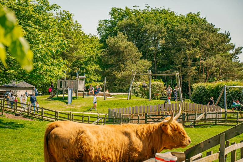 Cotswold Farm Park Holidays