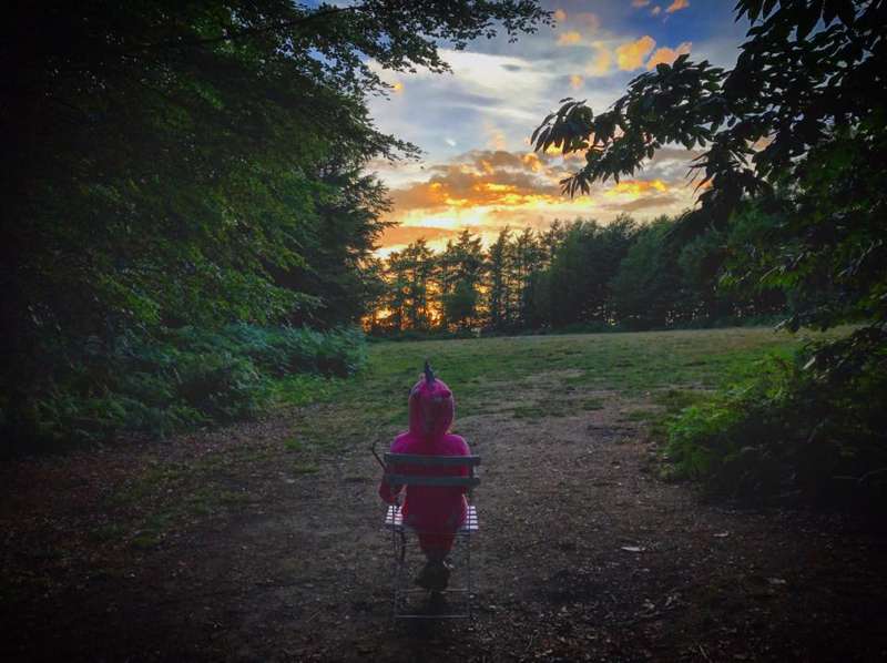 Woodland Meadow Large Pitch