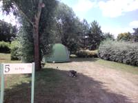 Grass Pitch