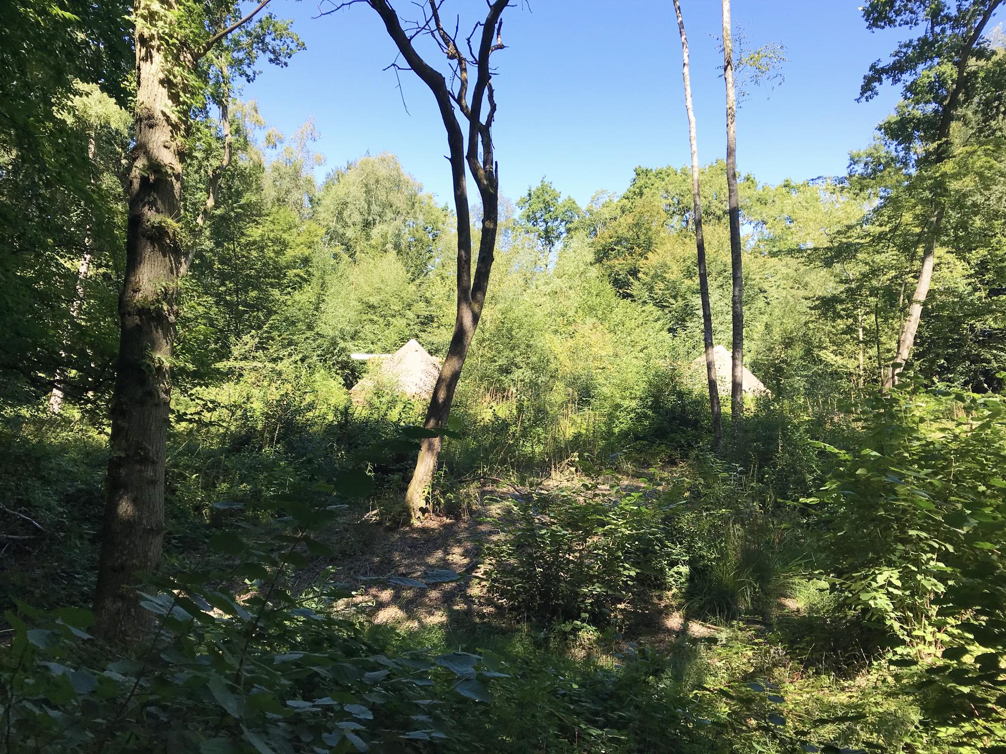 Glamping in Haywards Heath holidays at Cool Camping
