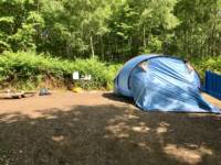 Forest Tent Pitch