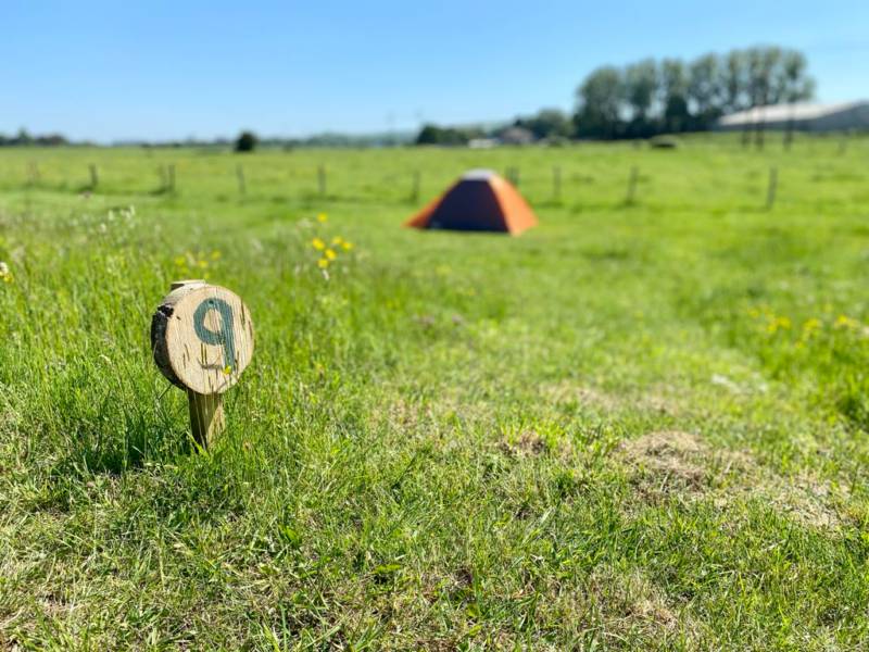 Grass Tent Pitch