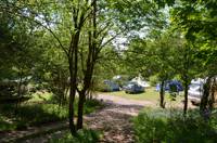 Electric Hard Standing Pitch (no tents)