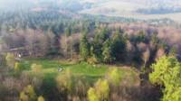 Woodland Meadow Pitch