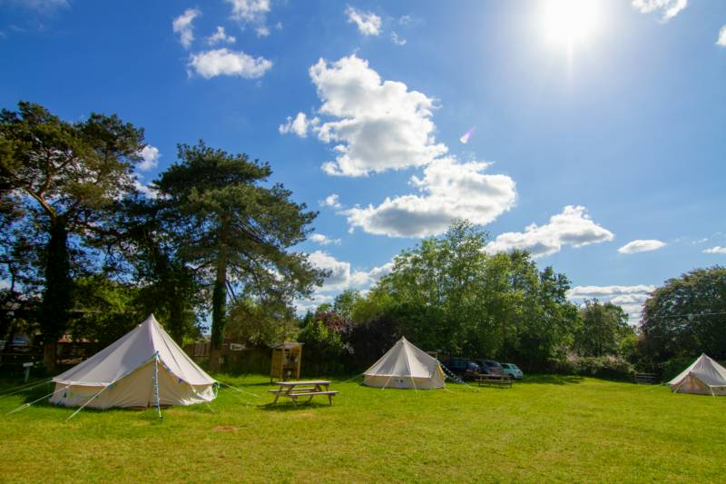 Harry's Field Abbotswell Road, Frogham, Fordingbridge, Hampshire SP6 2JA