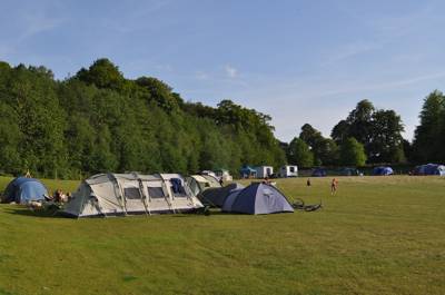 Upper Meadow TENT pitch (vehicle free field)