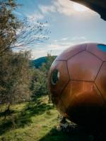 The Red Kite Conker