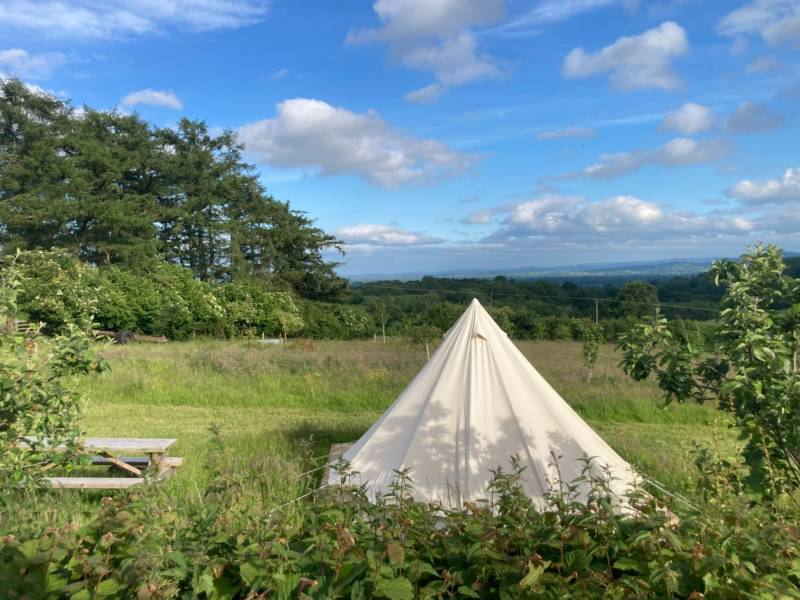 Bell Tent - Poppy